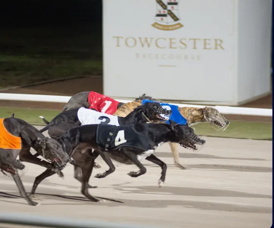 Carrera de galgos en canódromo Towcester