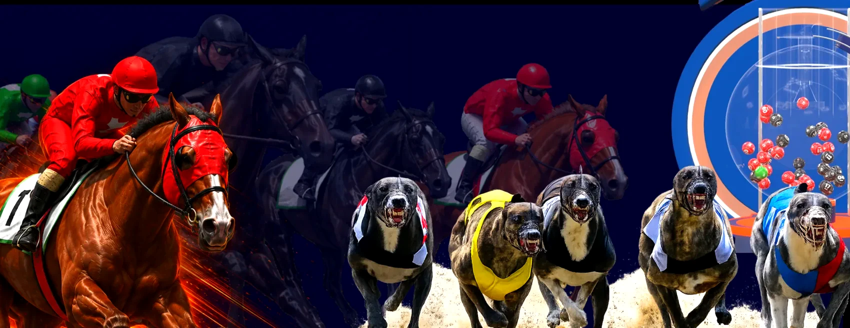 Caballos, galgos y lotería de SOLL